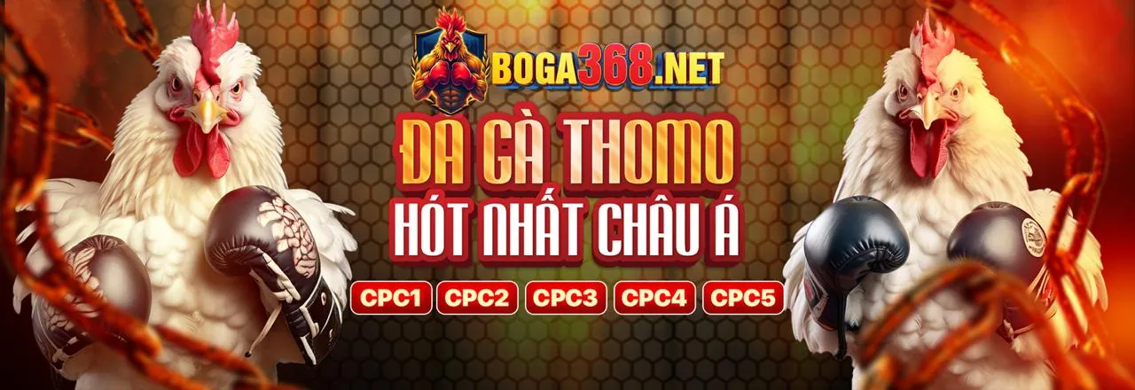 Hình ảnh minh họa đá gà trực tuyến tại xoso6688 trang chủ